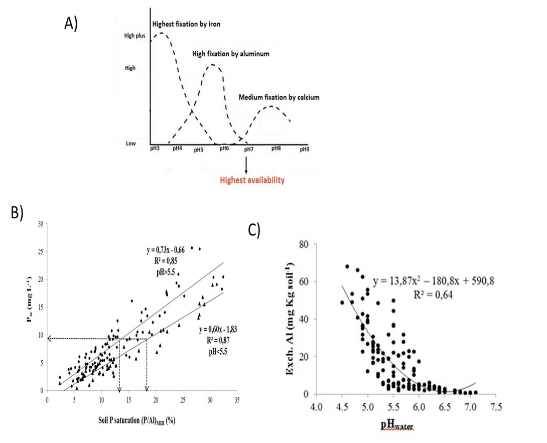 Three graphs showing P fixation, P saturation and exchangeable Al levels in soils. 