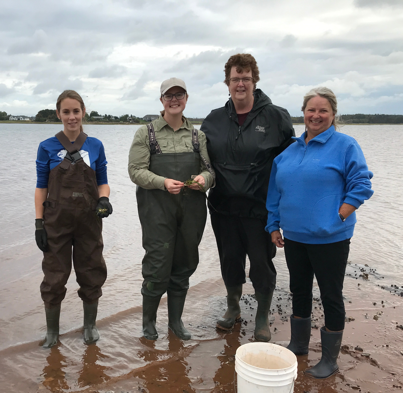 Watershed workers and volunteers stand along the coastline