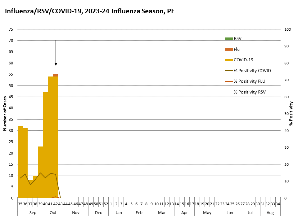 Weekly influenza update, week 6, February 2023