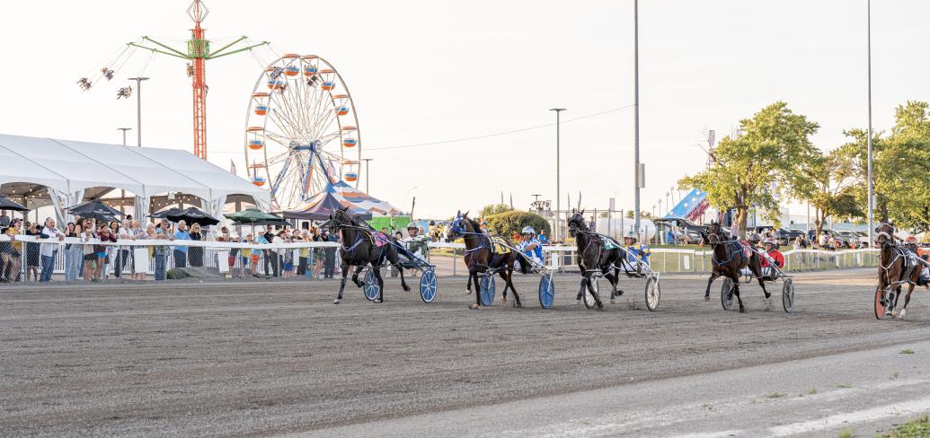 image de chevaux de course sous harnais en pleine course avec un milieu en arrière-plan