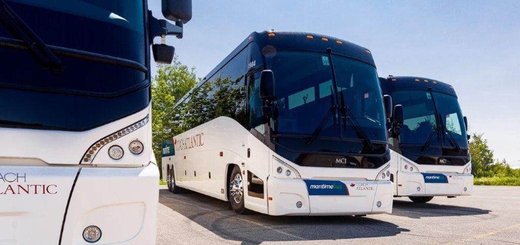 image of three motorcoach buses parked beside each other in a parking lot on a summer day