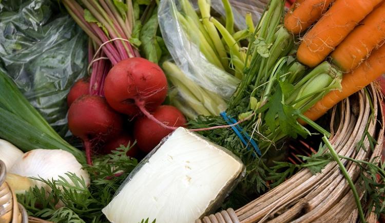 basket of fresh vegetables